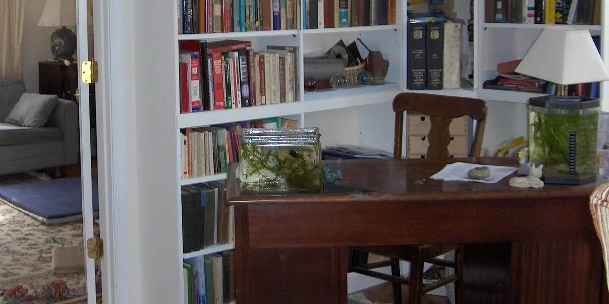 Escritorio de madera oscura ante una estantería blanca llena de libros, con una lámpara de tulipa blanca y dos peceras